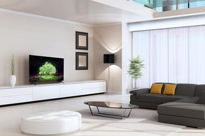 LG OLED48A1PUA 48" 4K Smart OLED TV (USED) + Extended Coverage