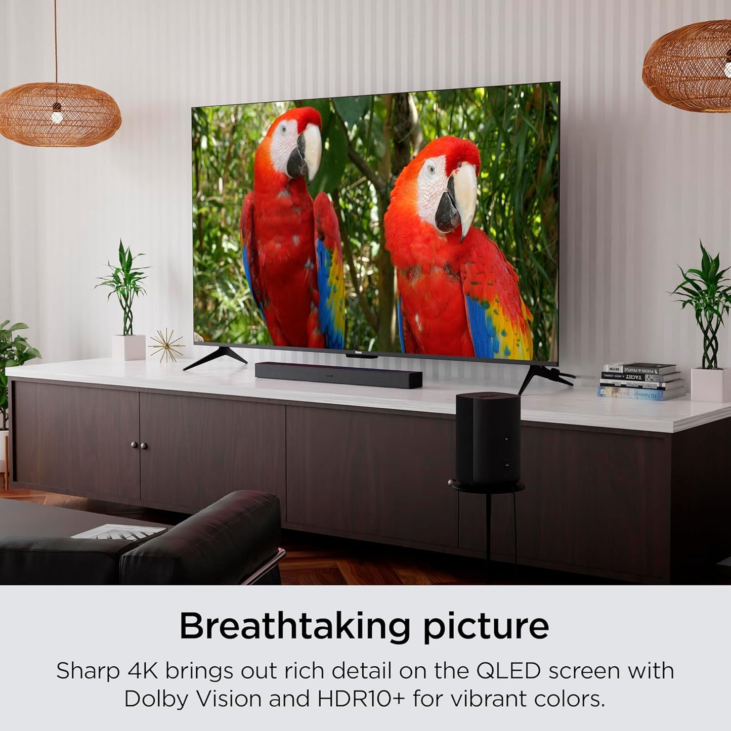 Roku 65R6A5R 65-Inch 4K QLED Smart TV - Dolby Vision