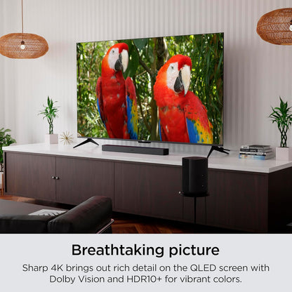 Roku 65R6A5R 65-Inch 4K QLED Smart TV - Dolby Vision