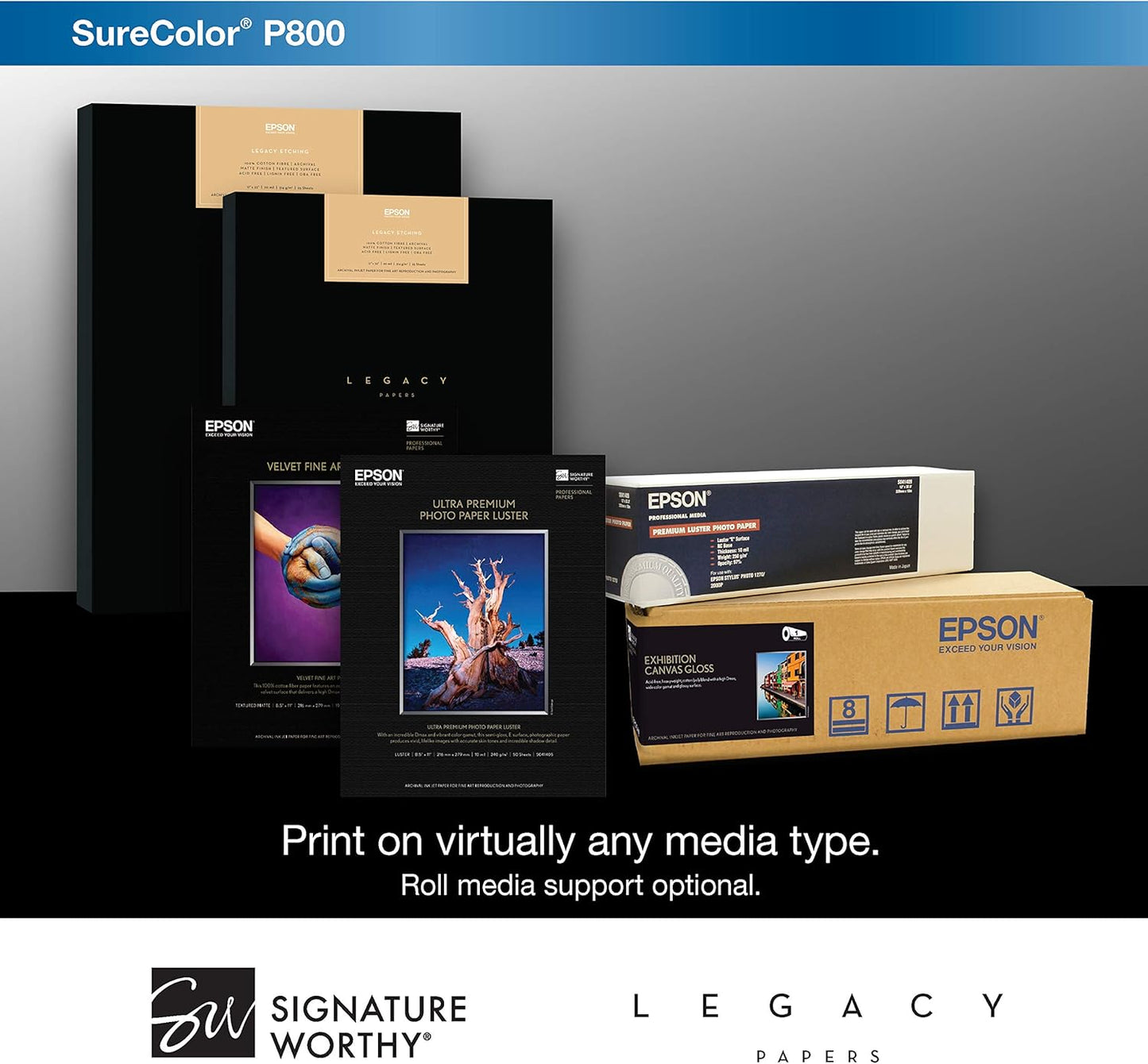 Epson P800 SureColor 17" Professional Photo Inkjet Printer