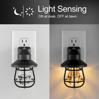 GE 38628 Vintage LED Dusk to Dawn Night Light 2-Pack