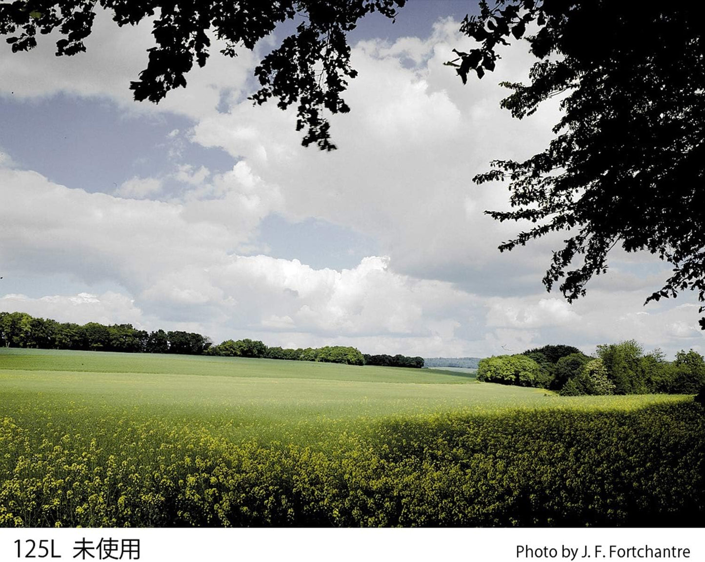 Cokin WA1T125L A125L Gradual Tobacco T2 Light Filter