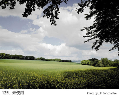 Cokin WA1T125L A125L Gradual Tobacco T2 Light Filter