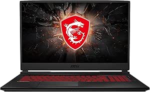 MSI GE75 Raider RTX 2060 17.3" Gaming Laptop