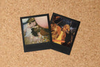 Polaroid 6019 I-Type Color Film Black Frame Edition