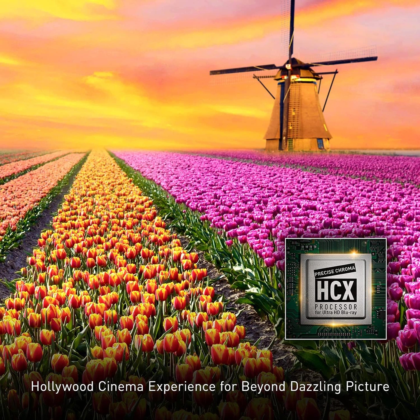 Panasonic DP-UB820-K 4K Blu Ray Player Dolby Vision