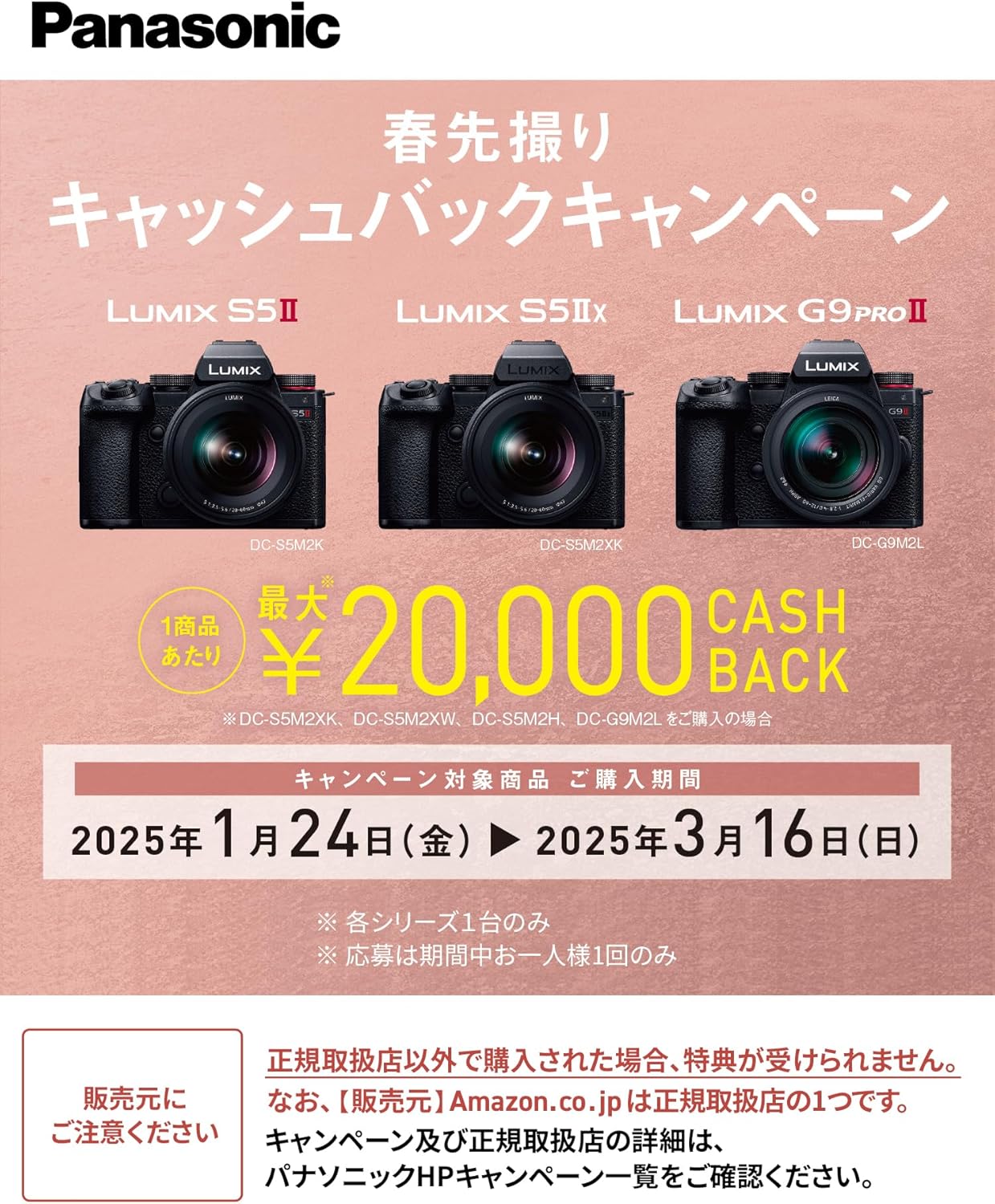 Panasonic 45-150mm Micro Four Thirds Telephoto Zoom Lens