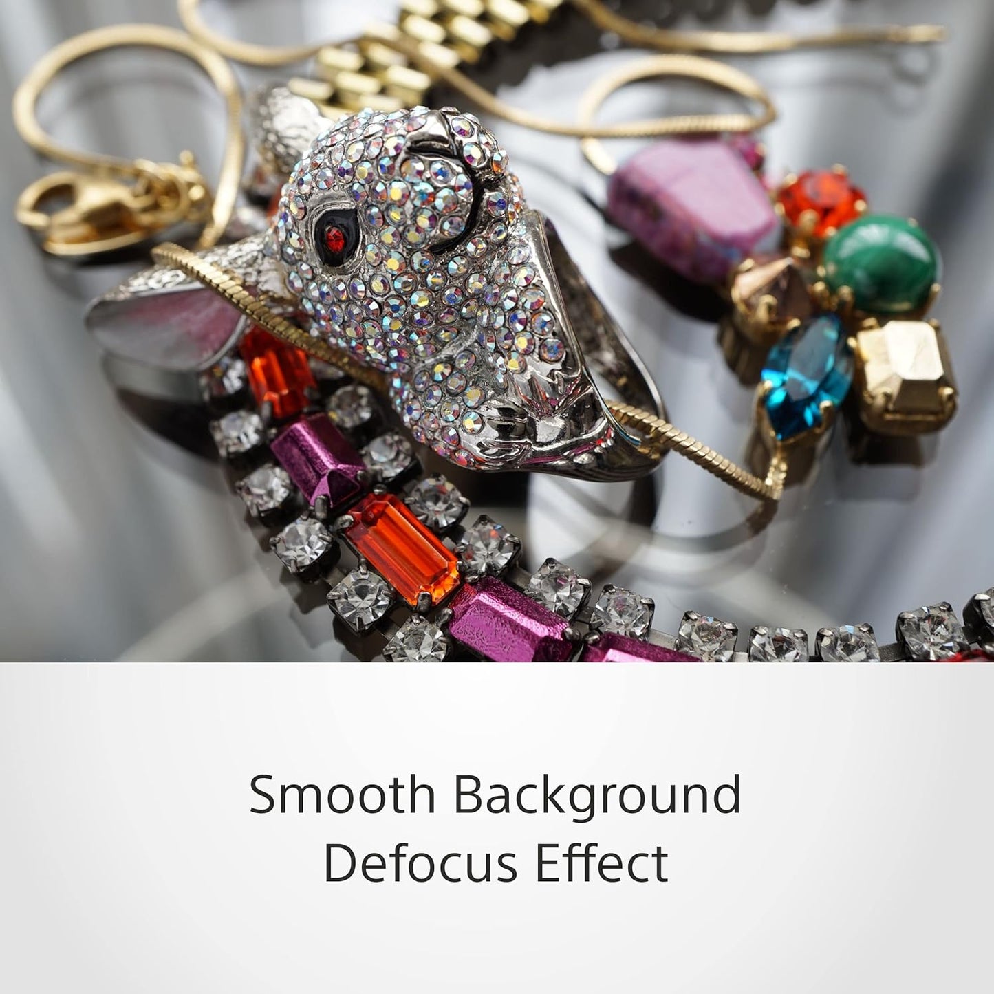 Sony SEL50F18/B E 50mm F1.8 OSS Lens