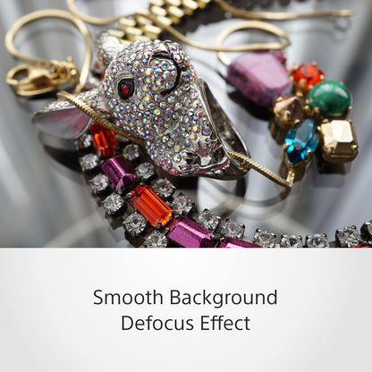 Sony SEL50F18/B E 50mm F1.8 OSS Lens