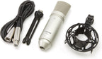 Tascam TM-80 Studio Condenser Microphone Silver