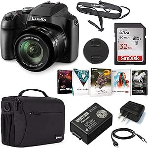 Panasonic GG184 Lumix DC-FZ80 4K 60x Zoom Camera Kit
