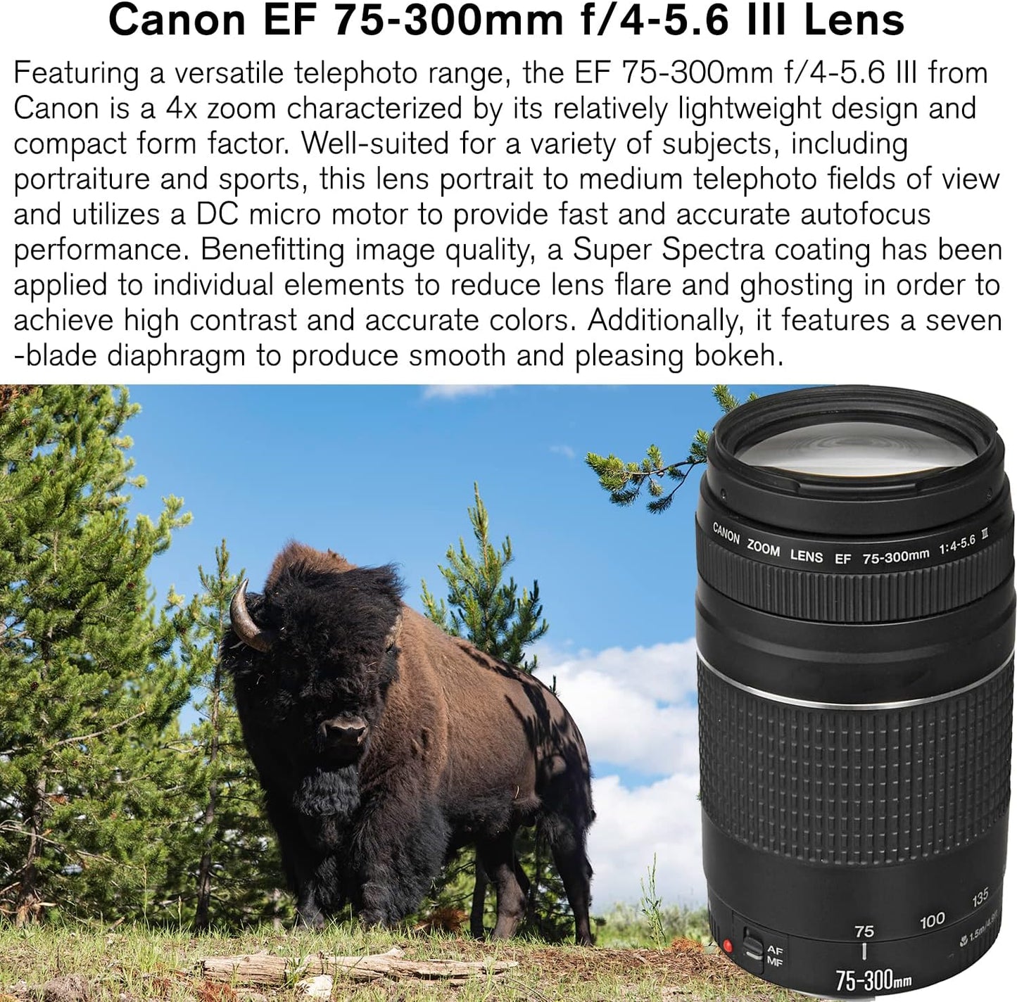 Canon EOS 2000D Rebel T7 DSLR Camera 18-55mm + 75-300mm Lens