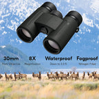 Nikon 16774 PROSTAFF P3 8x30 Binoculars Bundle