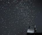 Antari B-200 High Output Bubble Machine - DMX Controllable