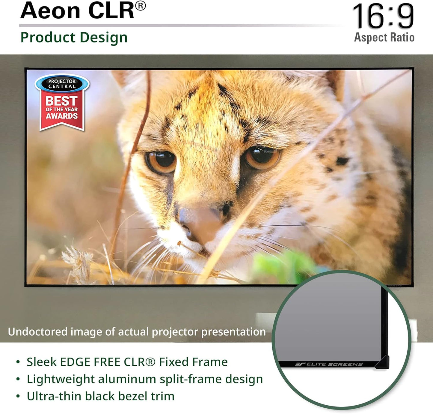 Elite Screens AR123H-CLR-X Aeon CLR Ultra-Short Throw Projector Screen