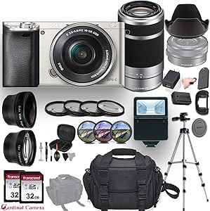 Sony α6000 Mirrorless Camera with Twin Lens Bundle