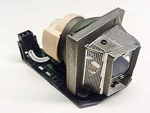 Optoma DH1010 Projector Replacement Lamp BL-FP230D — main product image