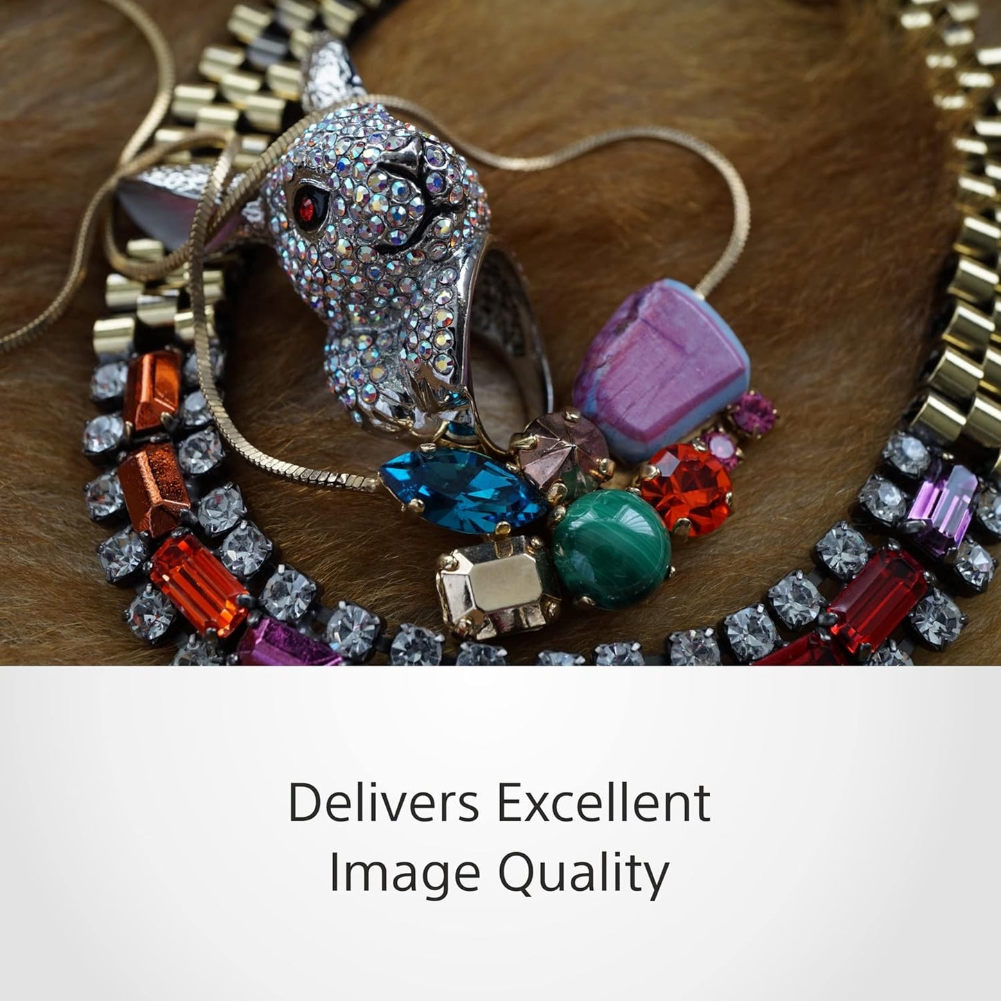 Sony SEL30M35 30mm Macro E-Mount Lens