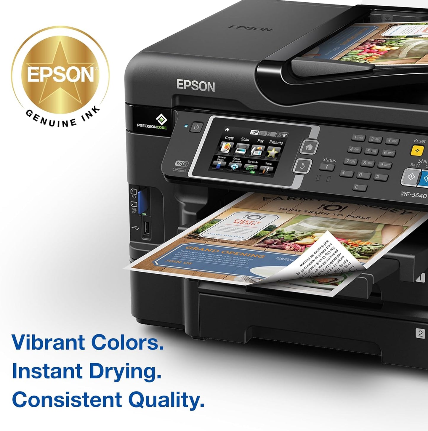 Epson T252120-BCS Ink Cartridges: Black & Color Combo Pack