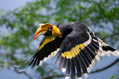 Nikon 20122 NIKKOR Z 600mm f/6.3 VR S Lens