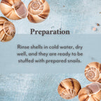 Roland RO601 Extra Large Snail Shells - 36 Count