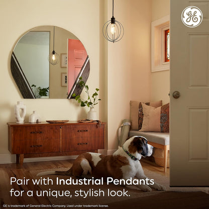 GE 48553 Edison Style LED Light Bulbs 2-Pack