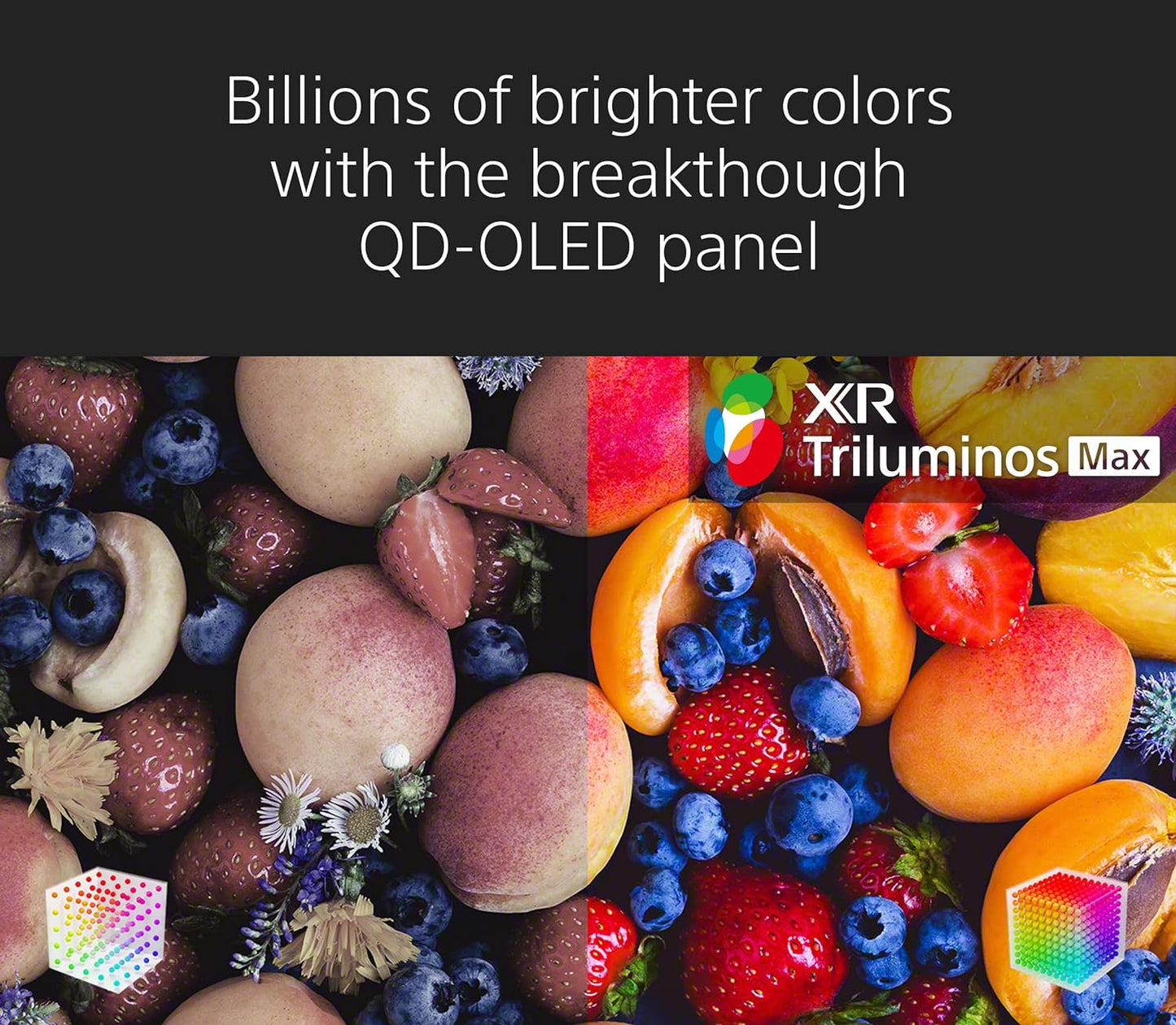 Sony XR65A95K 65" BRAVIA XR QD-OLED 4K Google TV