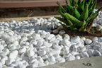 MSI AMZ-LSC-0024 White Tumbled Pebbles - 1-2 Inch, 40 lb. Bag