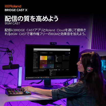 Roland BRIDGECSTX Dual Bus Gaming Mixer Interface