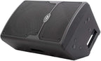 Peavey (2) PVX10+RVSS2-TSNL4 10
