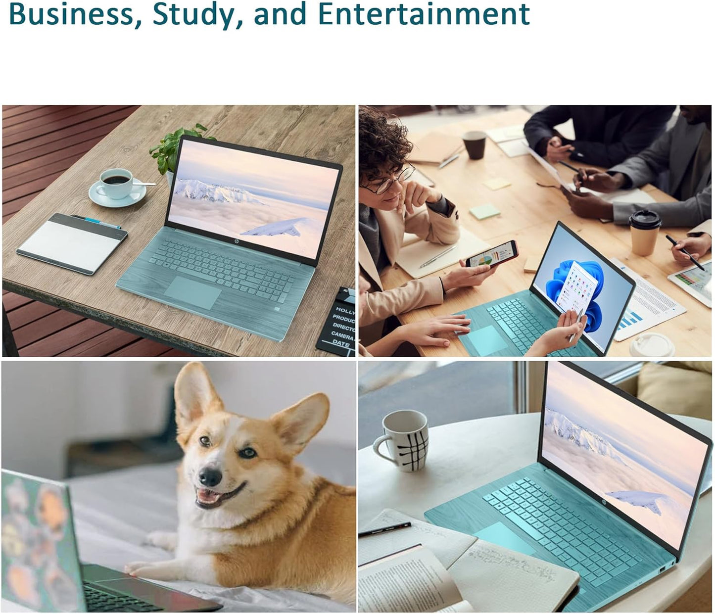 HP 17 Laptop - Intel Celeron, 16GB RAM, 1TB SSD - Renewed