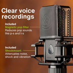 Lewitt LCT-440 PURE Studio Condenser Microphone