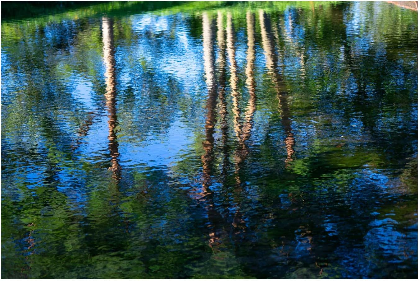 Sigma 351965 56mm f/1.4 DC DN Lens - Sony E-Mount Prime