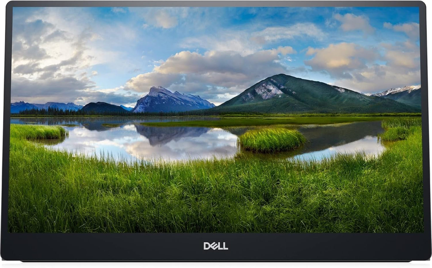 Dell C1422H 14" Portable Full HD USB-C Monitor
