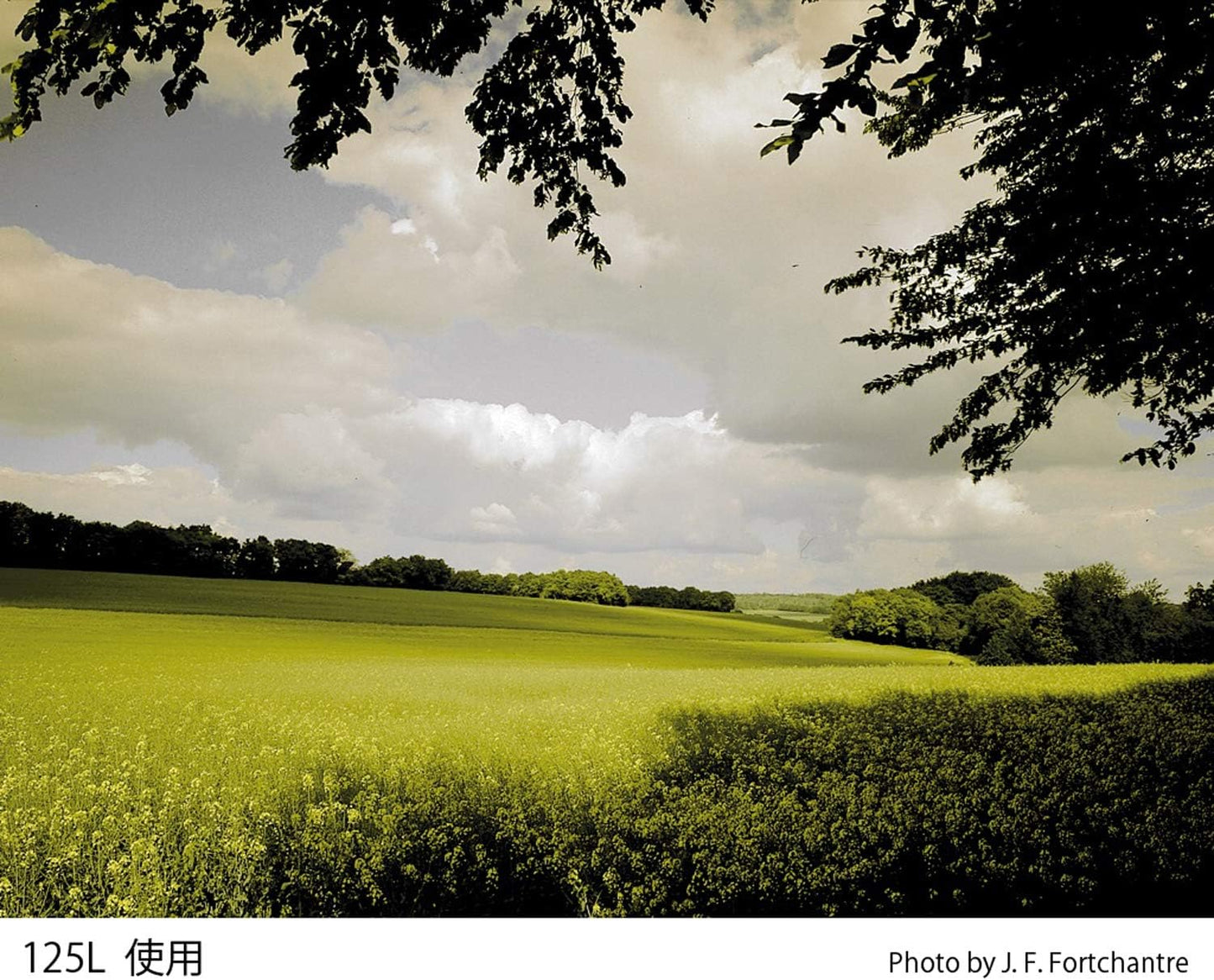 Cokin WA1T125L A125L Gradual Tobacco T2 Light Filter