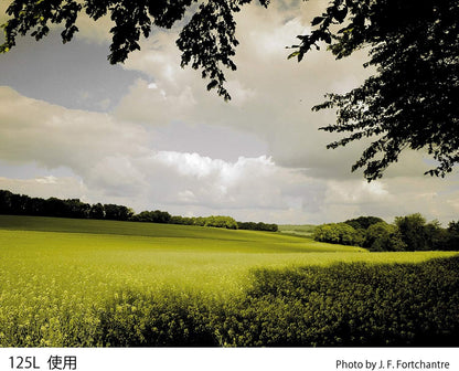 Cokin WA1T125L A125L Gradual Tobacco T2 Light Filter