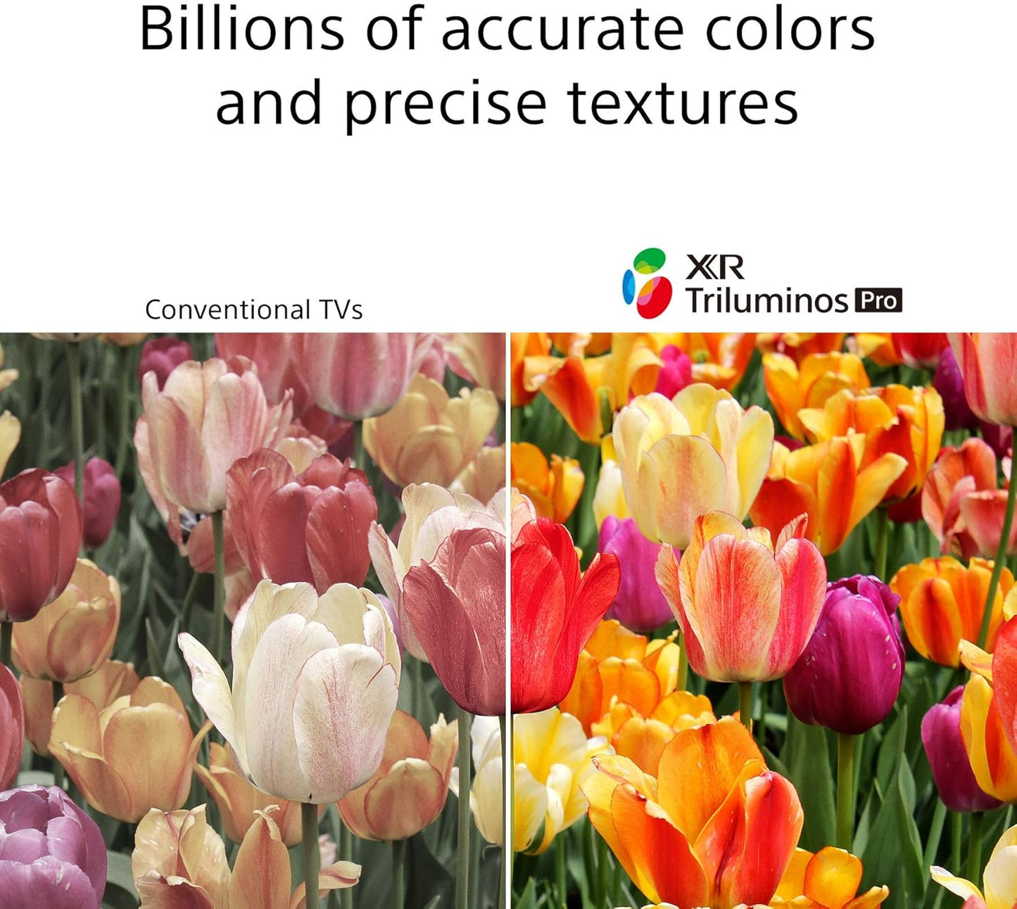 Sony XR-55A80J 55-Inch 4K OLED TV Mount Bundle Used