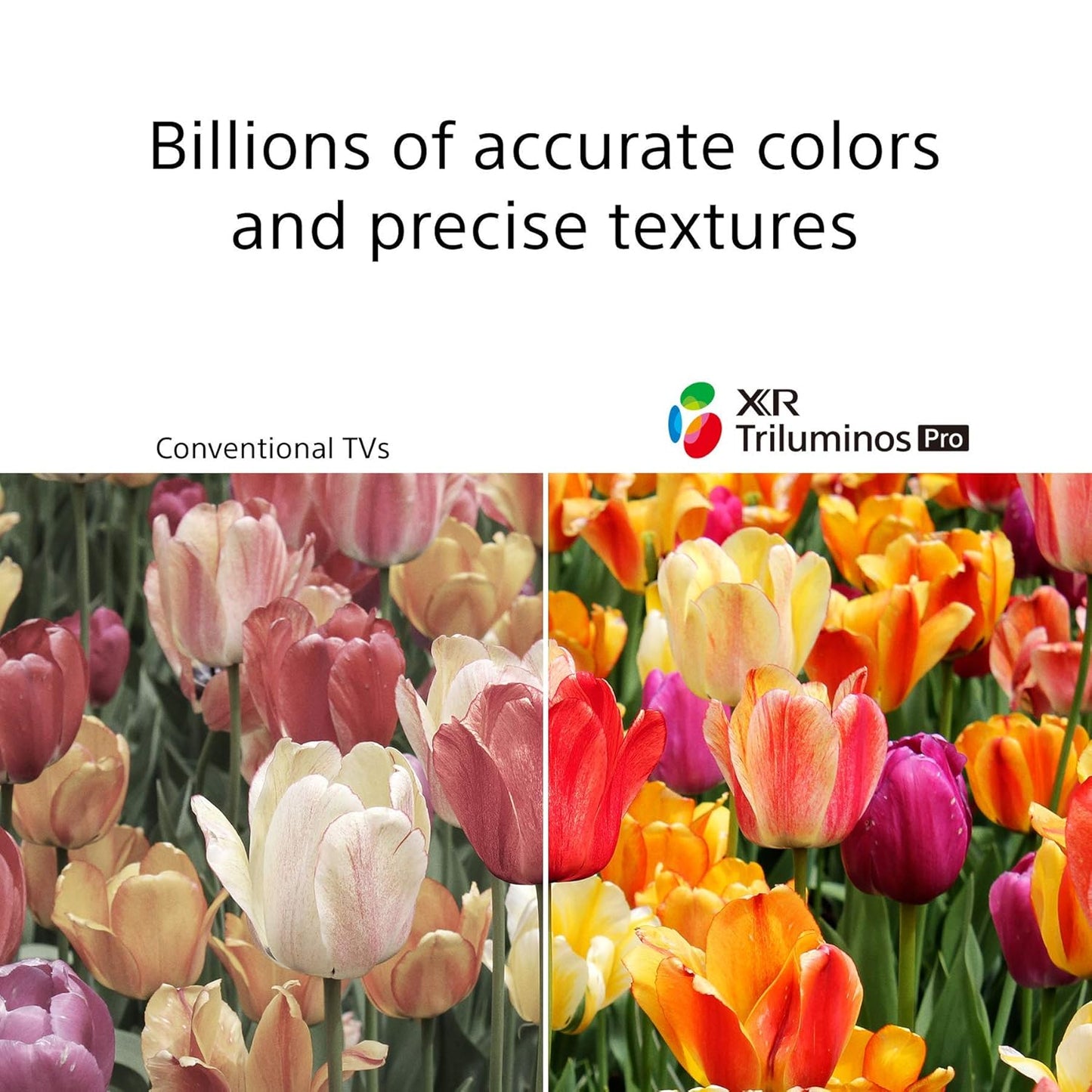 Sony XR83A90J OLED 4K Smart TV (Used)