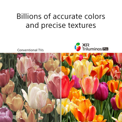 Sony XR55A90J 55" OLED 4K Smart TV w/ Austere HDMI Cable (USED)