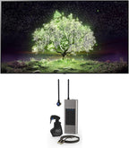 LG OLED65A1PUA 65