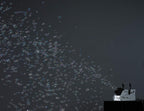 Antari B-100XT High Output Bubble Machine