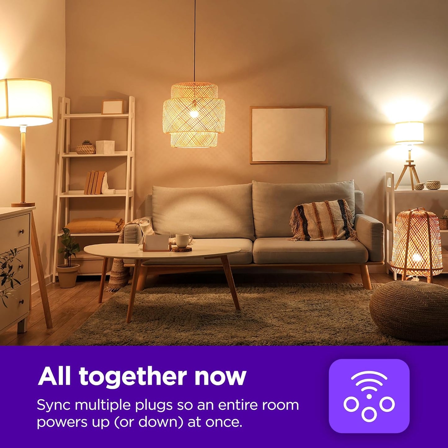 Roku PS1000P2R Smart Home Indoor Smart Plug 2-Pack