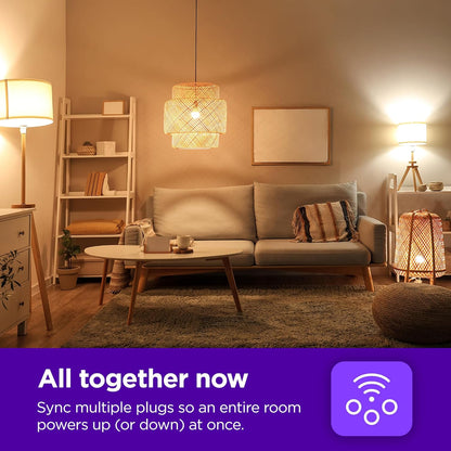 Roku PS1000P2R Smart Home Indoor Smart Plug 2-Pack