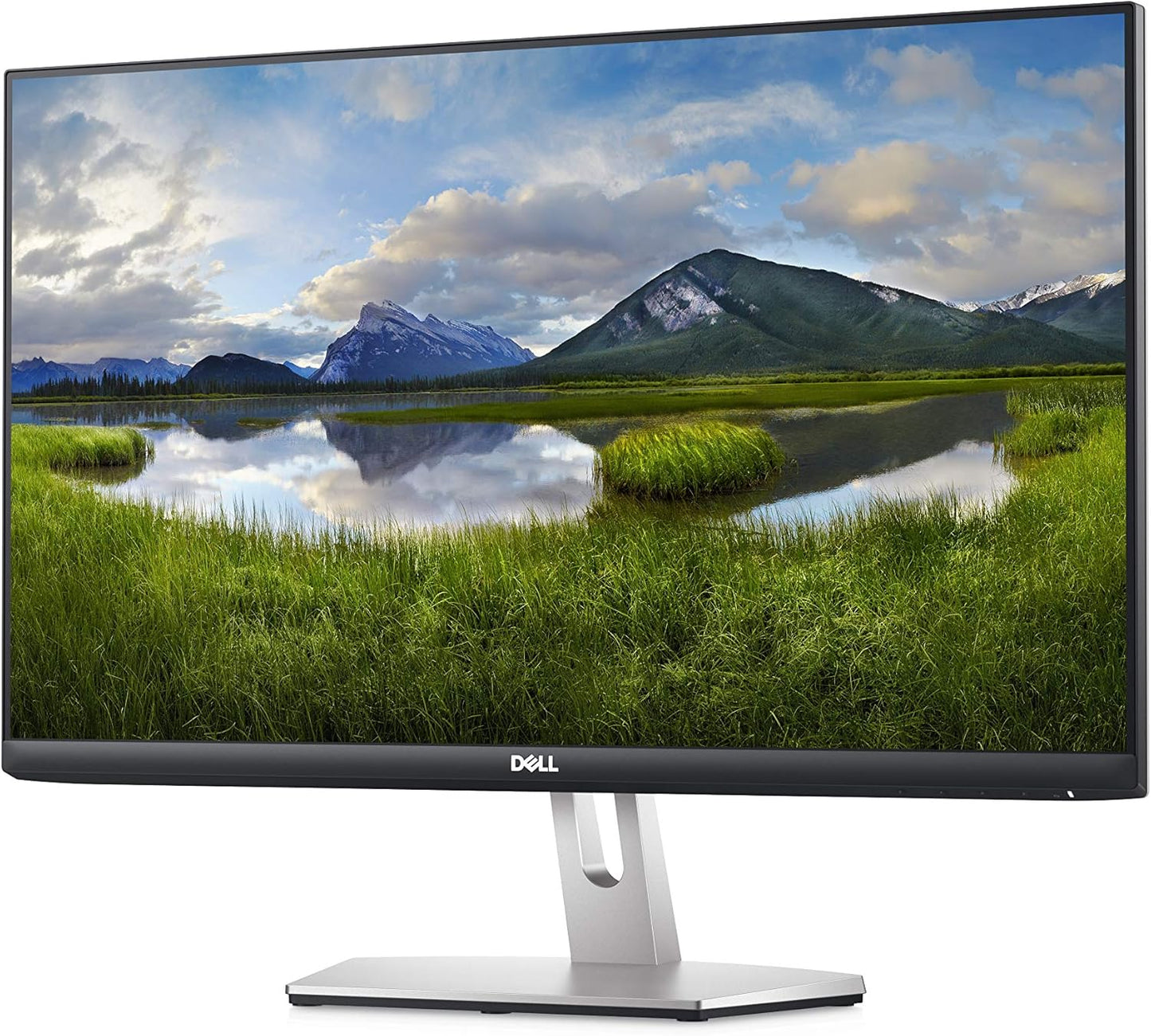 Dell S2421HN 24-Inch FHD 75Hz IPS Monitor FreeSync