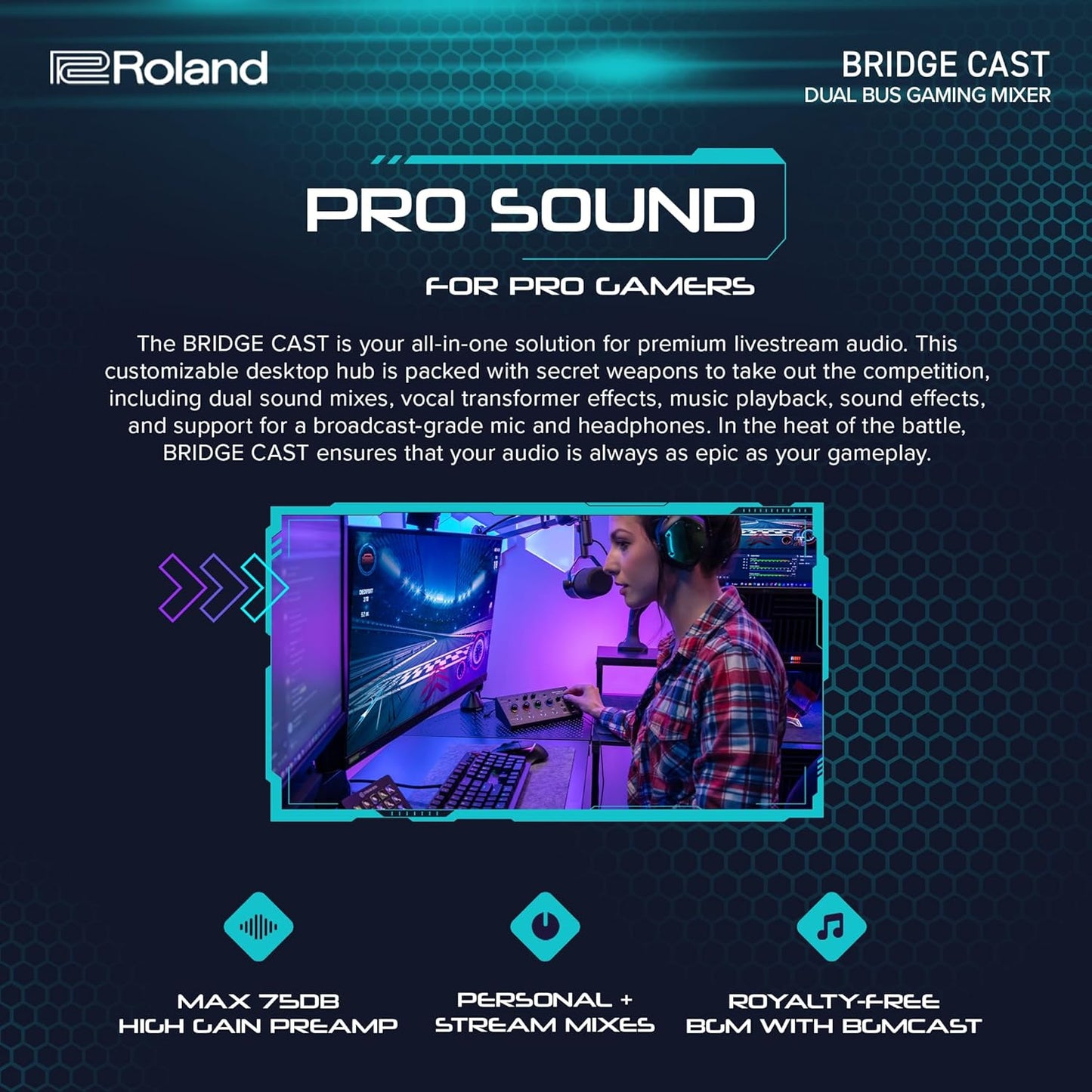 Roland BRIDGE CAST Dual Bus Gaming Mixer USB Interface