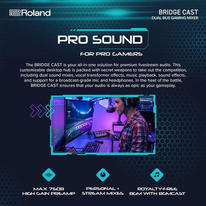 Roland BRIDGE CAST Dual Bus Gaming Mixer USB Interface