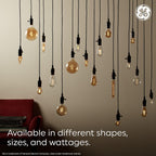 GE 48553 Edison Style LED Light Bulbs 2-Pack