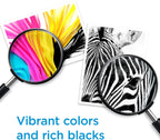 HP 6ZD95AN 65 Black & Tri-Color Ink Cartridge 2-Pack