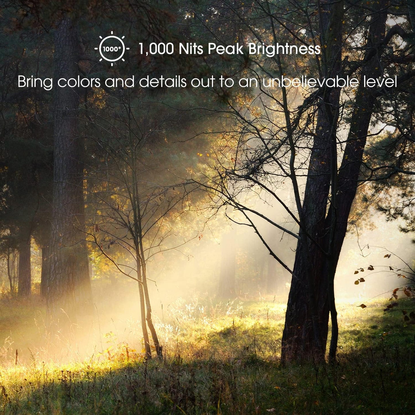 Hisense 75U7G 75" ULED 4K Android Smart TV