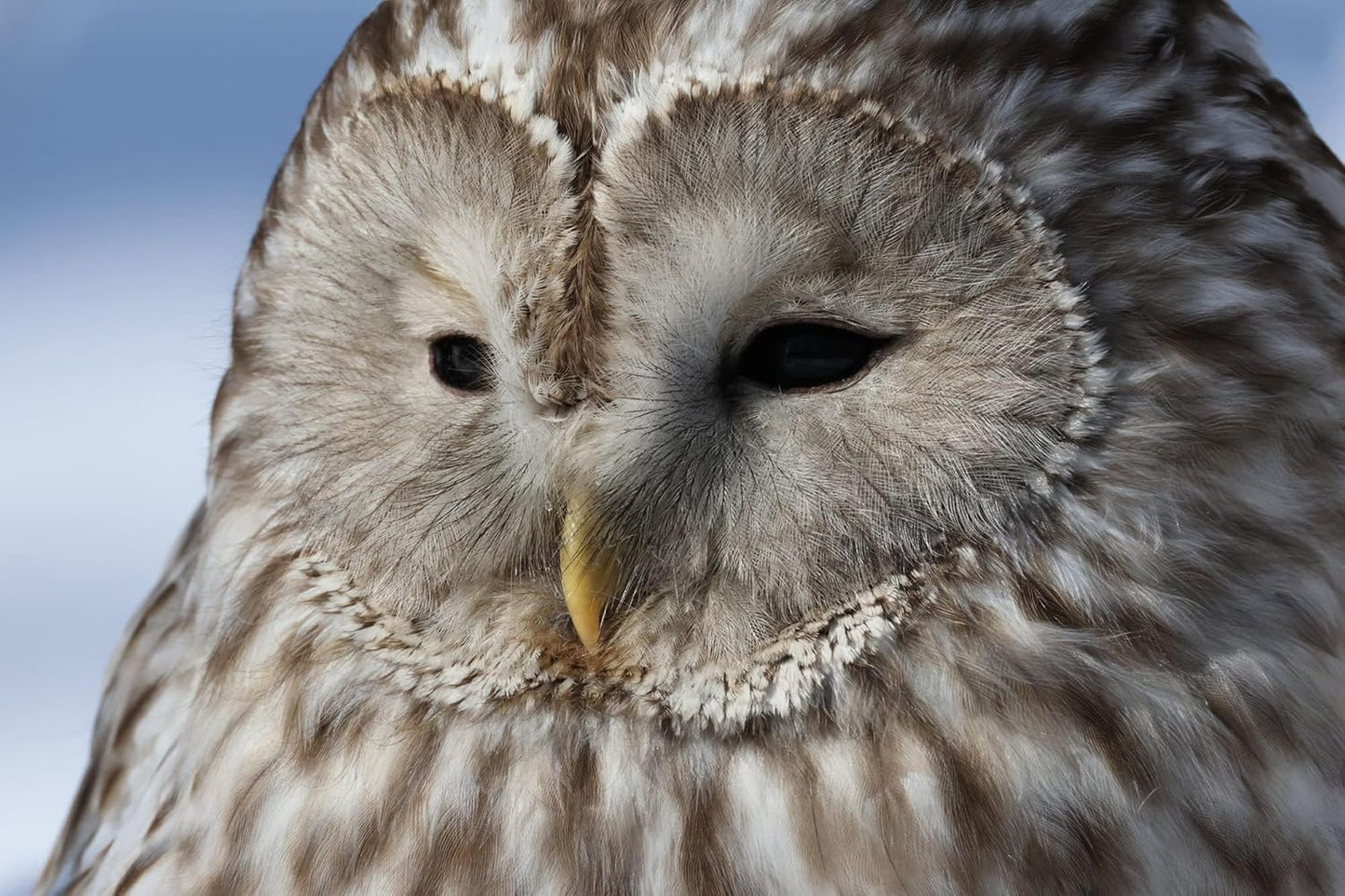 Canon 5137C009AA EOS R7 Mirrorless Camera with 18-150mm Lens